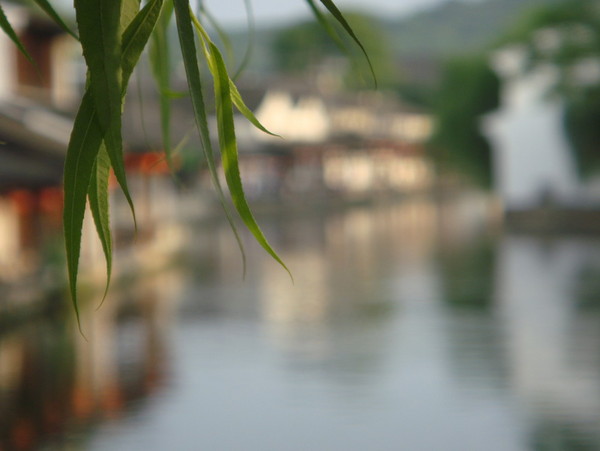紹興自助游圖片 紹興自助游圖片