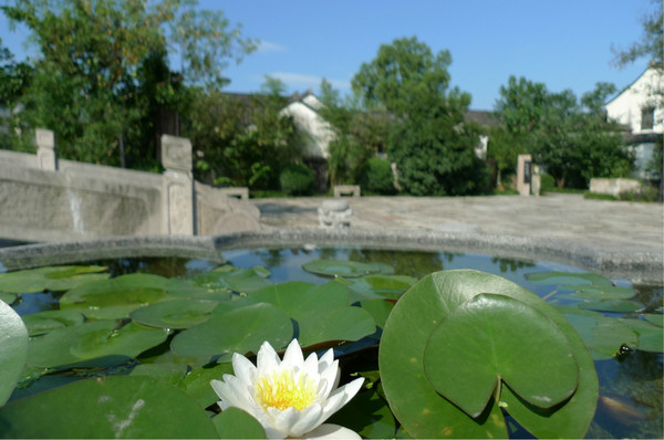 紹興景點(diǎn)圖片