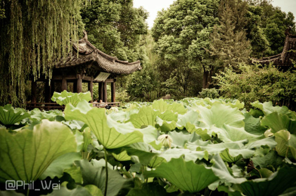 紹興旅游攻略圖片 紹興旅游攻略圖片