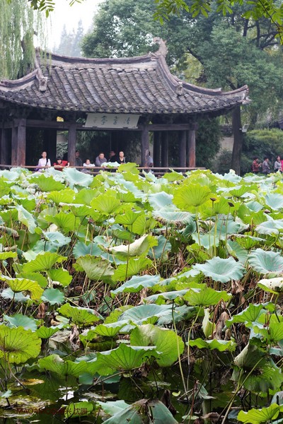 紹興旅游攻略圖片 紹興旅游攻略圖片